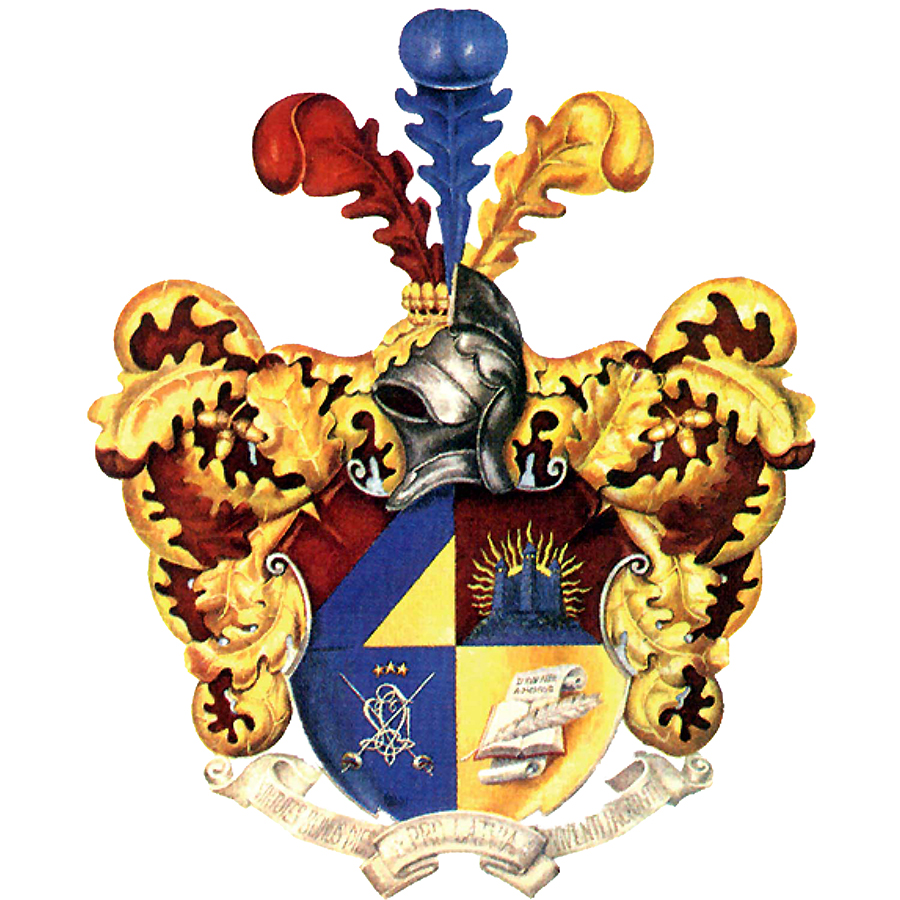 vapenis_1